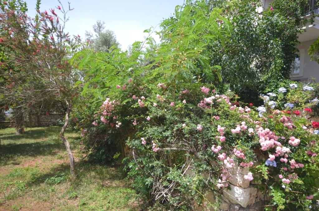 Villa Leton Kleo - Kalkan Center Eksteriør billede