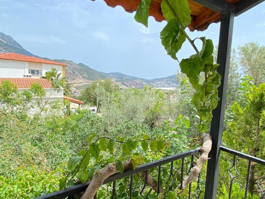 Villa Leton Kleo - Kalkan Center Eksteriør billede